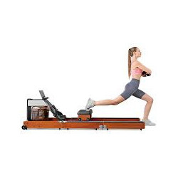 Kingsmith WalkingPad WR1 kokkupandav süstlapimismasin