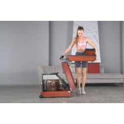 Kingsmith WalkingPad WR1 kokkupandav süstlapimismasin