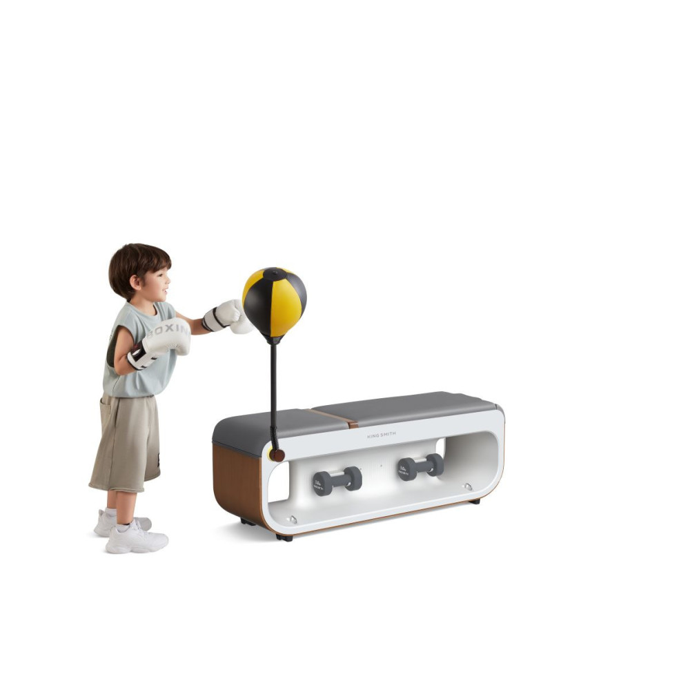 Kingsmith WalkingPad universaalne treeningpingi