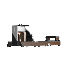 Kingsmith WalkingPad Rowing Machine WM10 - Walnut color