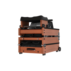 Kingsmith WalkingPad WR20 kokkupandav sõudeergomeeter – punase tamme värv